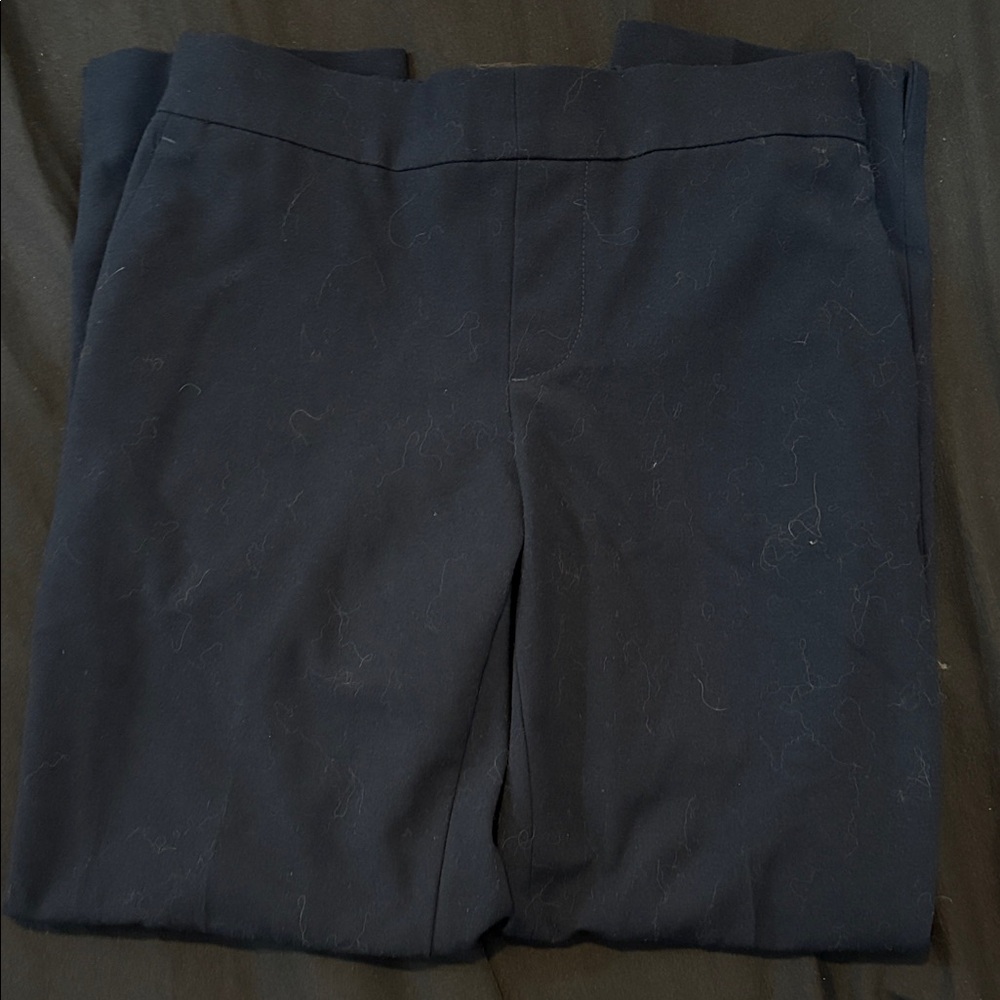 Banana Republic Navy Blue Petite Pants
